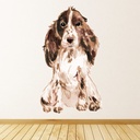 Brown Cocker Spaniel Dog Kennels Grooming Wall Sticker