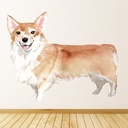 Corgi Dog Kennels Grooming Wall Sticker