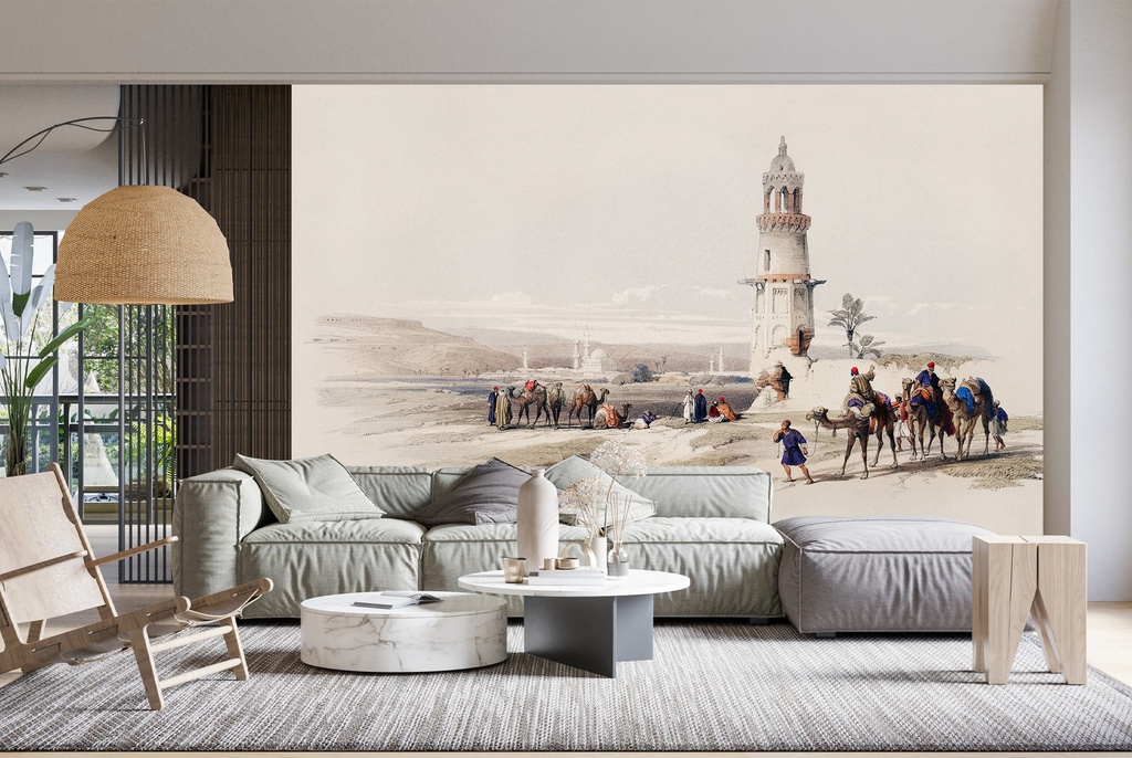 Siout (assiut) largest town in upper Egypt Wall Mural Artist David Roberts