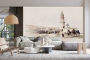 Siout (assiut) largest town in upper Egypt Wall Mural Artist David Roberts