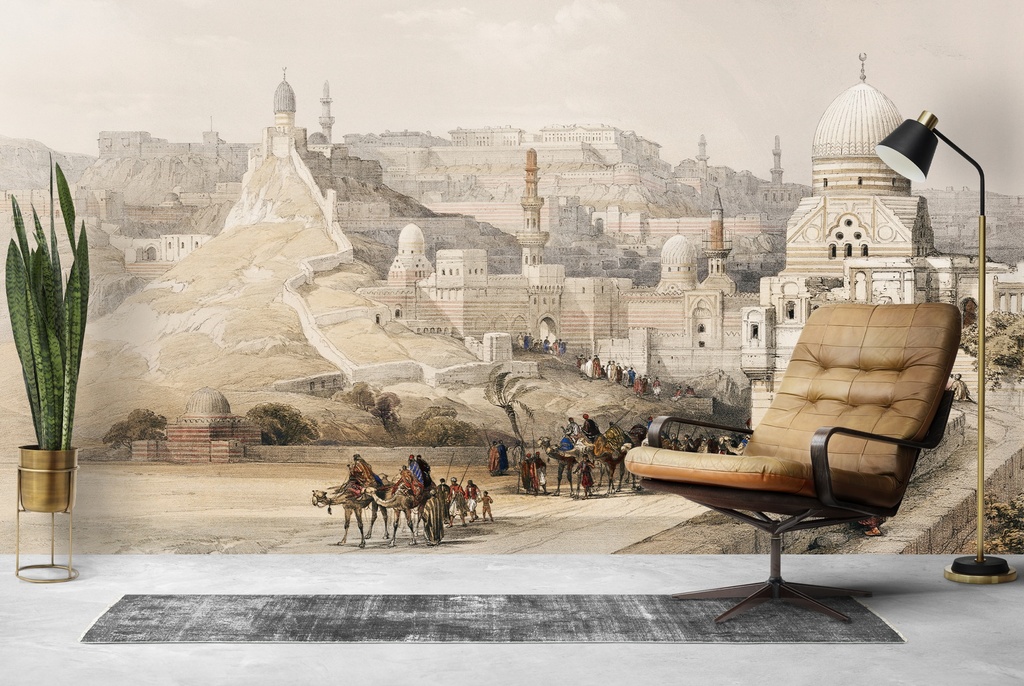 The Citadel of Cairo residence of Mehemet Ali Wall Mural Artist David Roberts