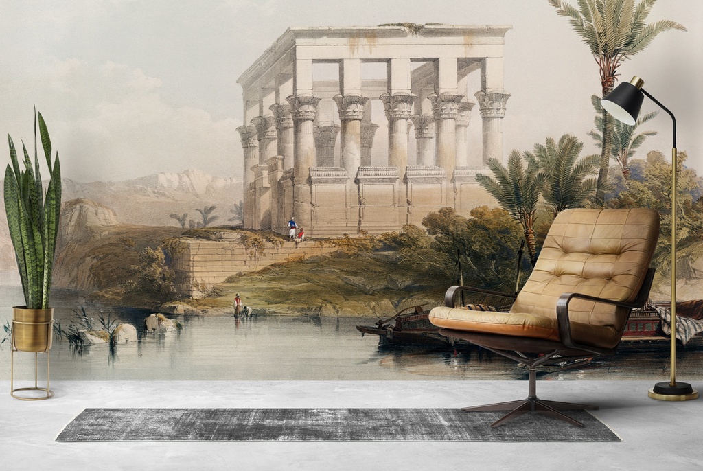 The hypaethral temple at Philae Wall Mural Artist David Roberts