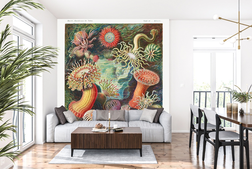 Sea Anemones Art Forms Of Nature (1904) Wall Mural Artist Ernst Haeckel