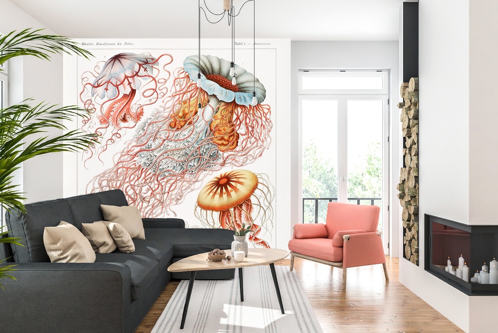 Jellyfish (1904) Wall Mural Artist Ernst Haeckel