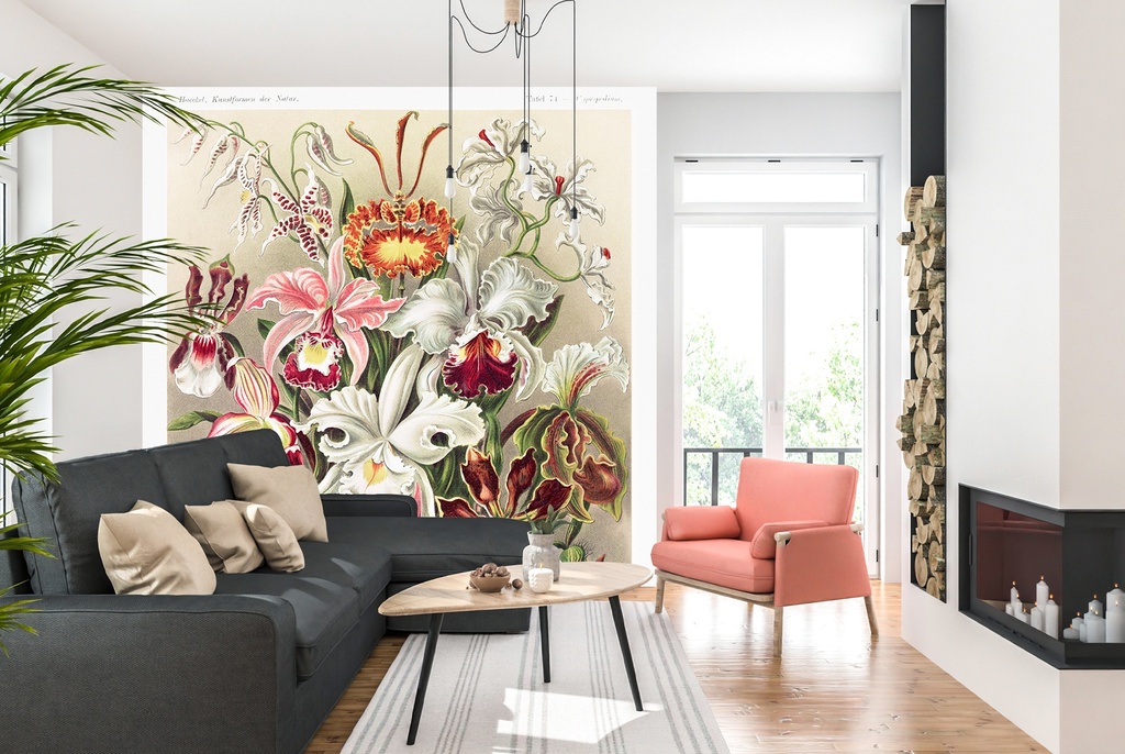 Orchids Art Forms in Nature (1904) Wall Mural Artist Ernst Haeckel