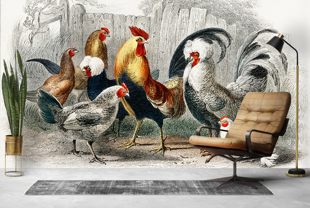 Black Polish Hen, Malay Cock, Hen (1820) Wall Mural Artist Oliver Goldsmith