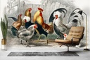 Black Polish Hen, Malay Cock, Hen (1820) Wall Mural Artist Oliver Goldsmith