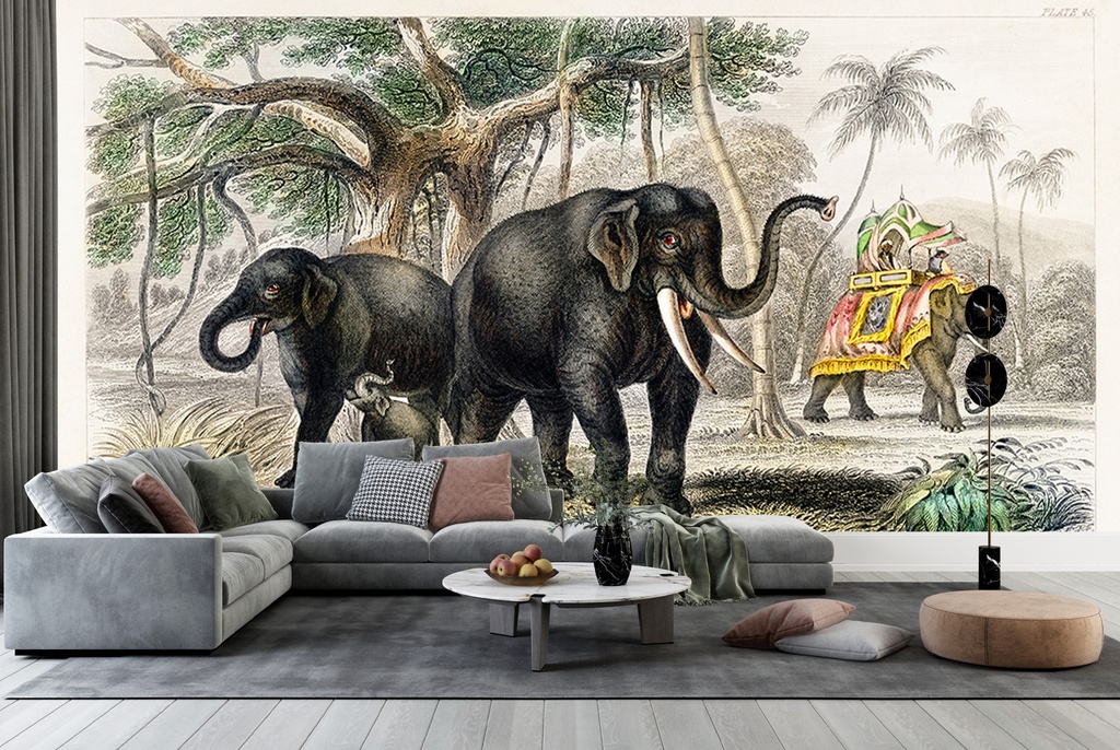 Caparisoned Elephant (1820) Wall Mural Artist Oliver Goldsmith