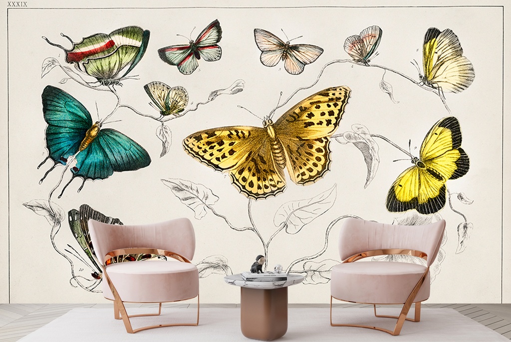 Collection of butterflies (1820) Wall Mural Artist Oliver Goldsmith