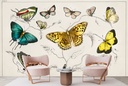 Collection of butterflies (1820) Wall Mural Artist Oliver Goldsmith