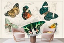 Collection Of Various Butterflies (1820) Wall Mural Artist Oliver Goldsmith