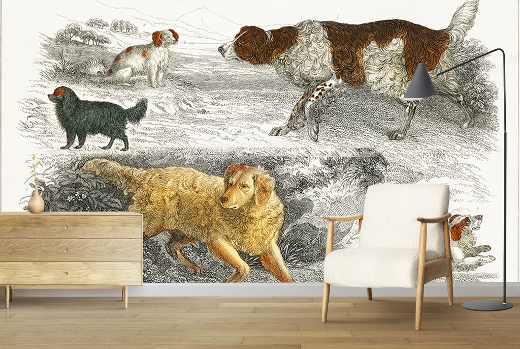 Collection of various dogs (1820) Wall Mural Artist Oliver Goldsmith