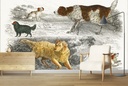 Collection of various dogs (1820) Wall Mural Artist Oliver Goldsmith