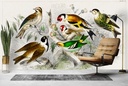 Golden Crested Wren (1820) Wall Mural Artist Oliver Goldsmith