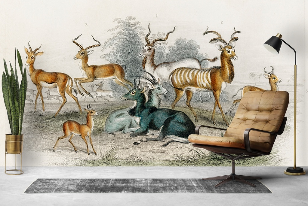 Nyl Ghau (1820) Wall Mural Artist Oliver Goldsmith