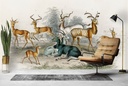 Nyl Ghau (1820) Wall Mural Artist Oliver Goldsmith