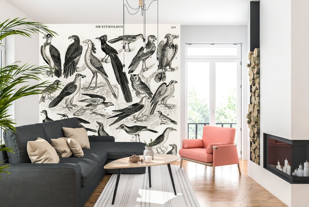 Ornithology (1820) Wall Mural Artist Oliver Goldsmith