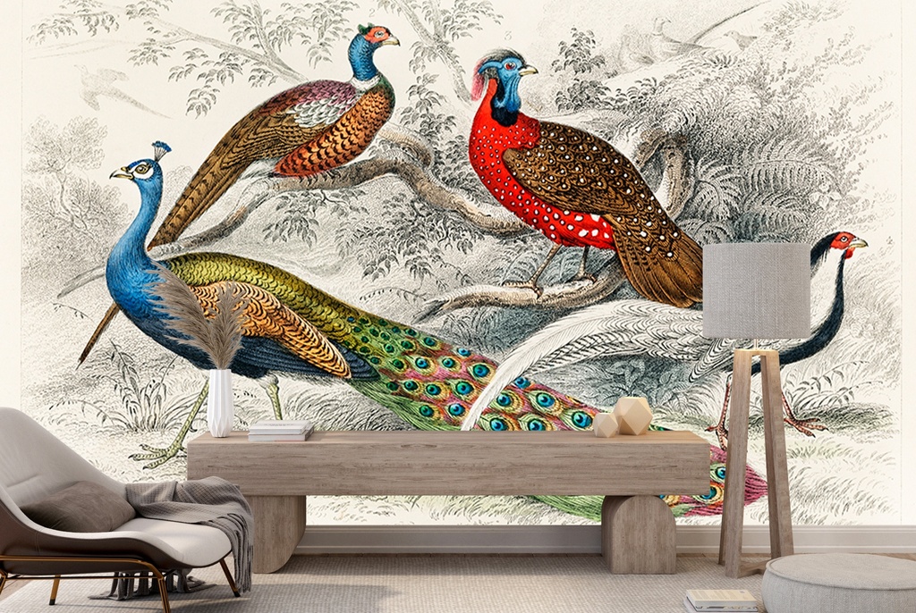 Silver Pheasant (1820) Wall Mural Artist Oliver Goldsmith