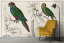 Two Parakeets Wall Mural Artist Oliver Goldsmith