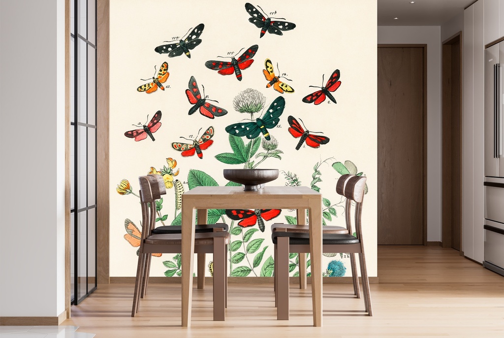Butterflies and Moths Wall Mural Artist William Forsell Kirby