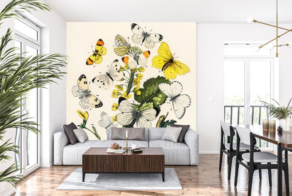 European Butterflies and Moths Wall Mural Artist William Forsell Kirby