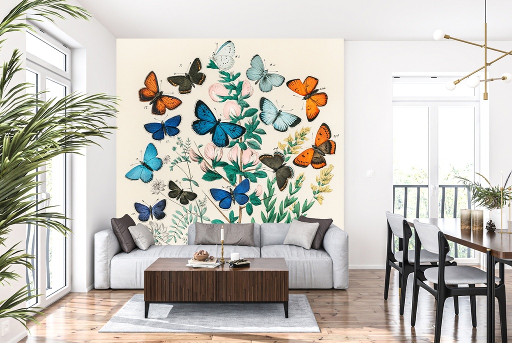 European Butterflies and Moths II Wall Mural Artist William Forsell Kirby