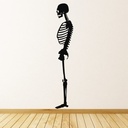 Skeleton Science School Wall Sticker