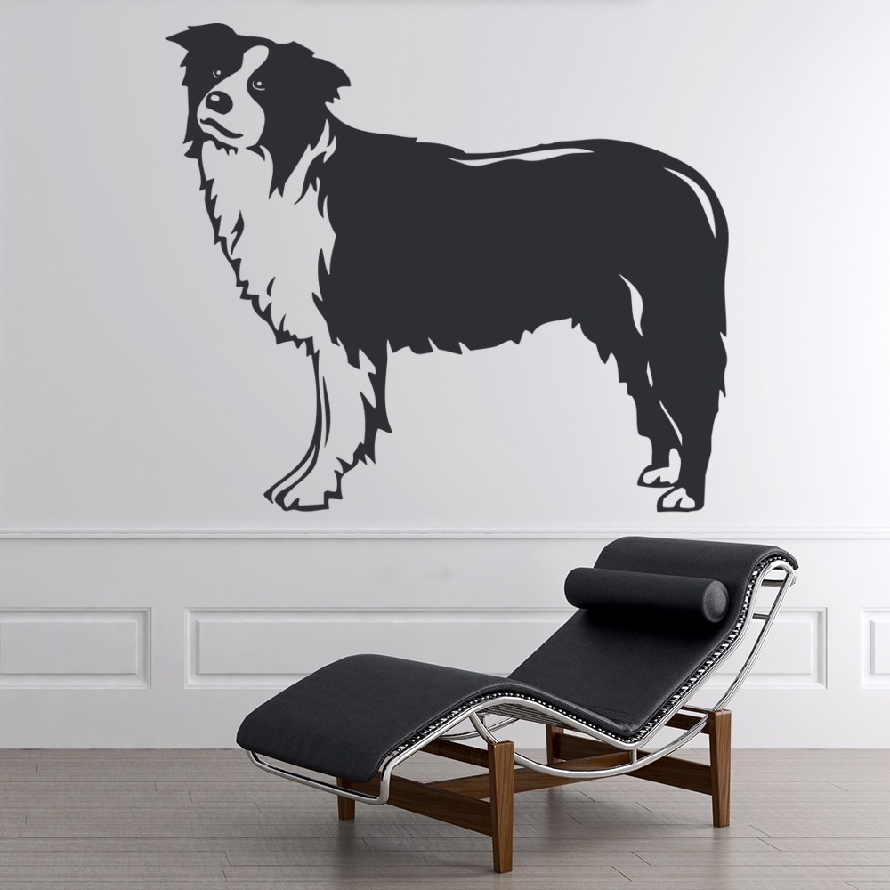 Border Collie Dog Pet Animals Wall Sticker