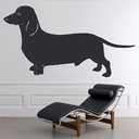 Dachshund Dog Pet Animals Wall Sticker - Mod4