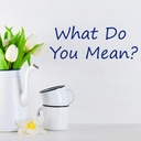Justin Bieber What Do You Mean? Wall Sticker