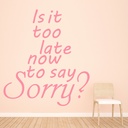 Justin Bieber Sorry Song Lyrics Wall Sticker