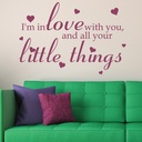 One Direction Little Things Song Lyrics Wall Sticker