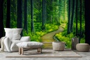 Into The woods Forest Wall Mural Wallpaper