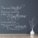 Art & Science Albert Einstein Quote Wall Sticker