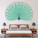 Peacock Feathers Wall Sticker