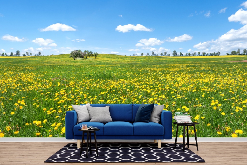 Spring Flower Meadow Wall Mural Wallpaper