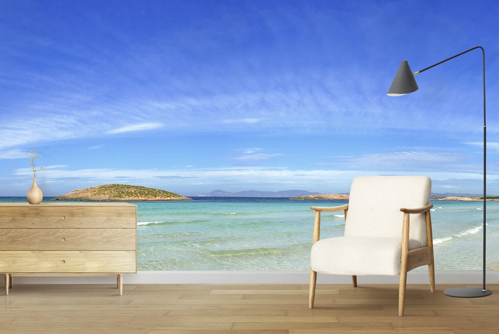 Formentera Island Beach & Ocean Wall Mural Wallpaper