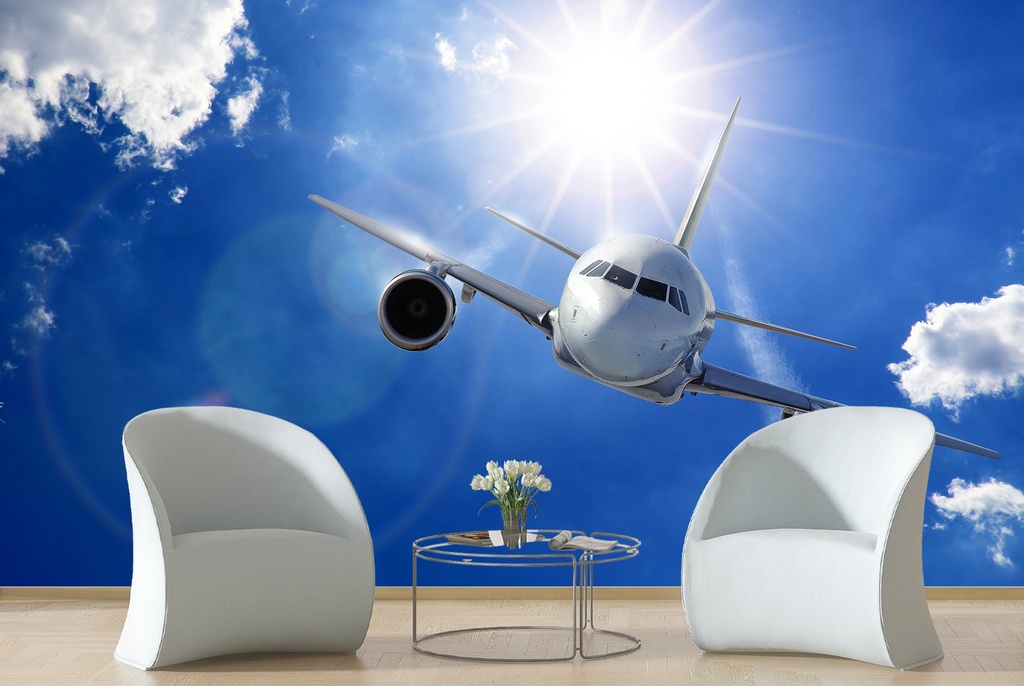 Aeroplane Travel Wall Mural Wallpaper