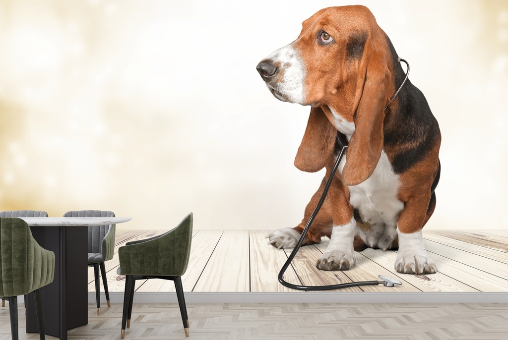 Basset Hound Dog Wall Mural Wallpaper
