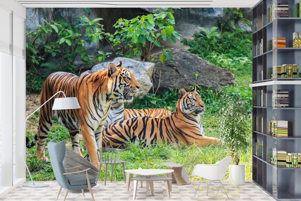 Bengal Tigers Wall Mural Wallpaper