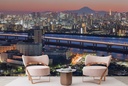 Mount Fuji & Tokyo Tower Wall Mural Wallpaper