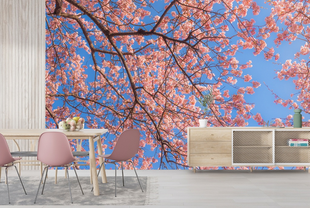 Pink Cherry Blossom & Blue Sky Wall Mural Wallpaper