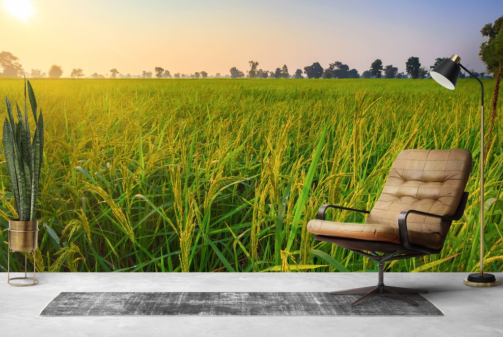 Corn Field Sunrise Wall Mural Wallpaper