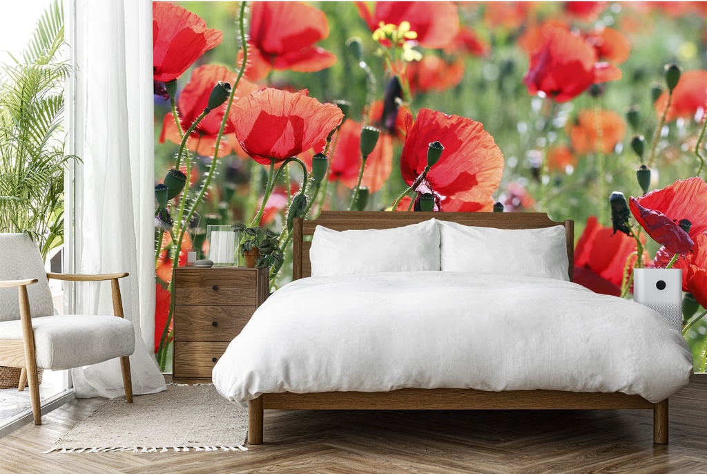 Red Poppies In Spring Meadow Wall Mural Wallpaper