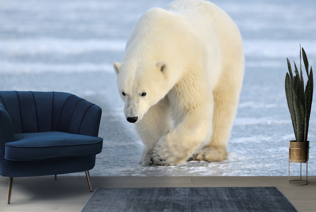 Polar Bear Wall Mural Wallpaper