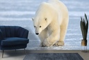 Polar Bear Wall Mural Wallpaper
