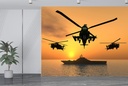 Apache Helicopters Aircraft Wall Mural Wallpaper