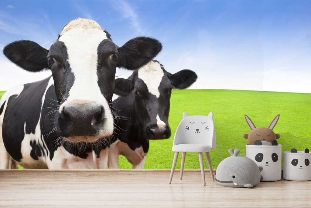 Dairy Cows Wall Mural Wallpaper