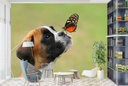 Boxer Dog & Butterfly Wall Mural Wallpaper