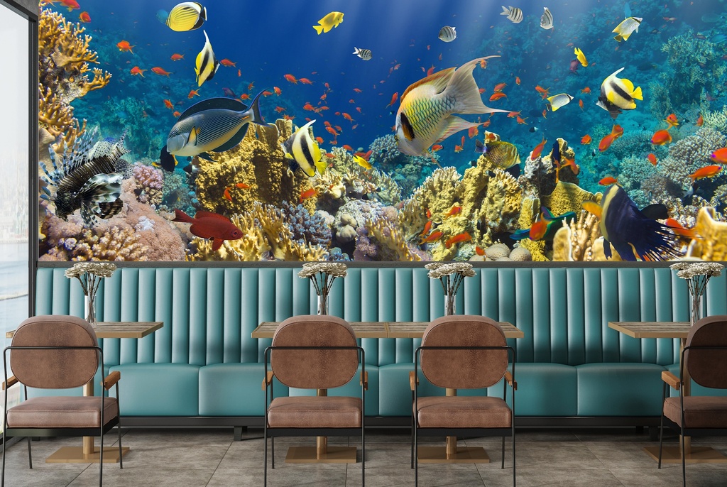 Coral Reef Fish Panoramic Wall Mural Wallpaper